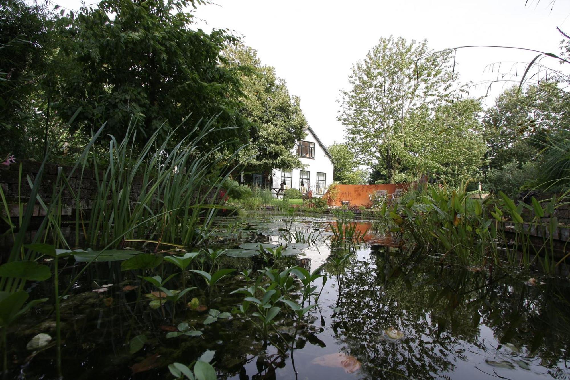 De Witte Wolk Bed & Breakfast Nieuw-Scheemda Exterior photo