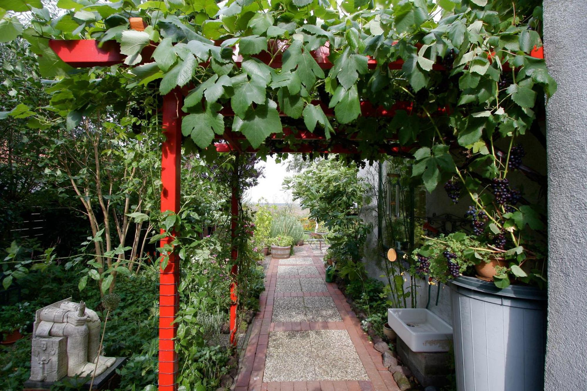 De Witte Wolk Bed & Breakfast Nieuw-Scheemda Exterior photo